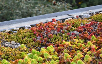 the cost of Castle Bromwich green roof installation