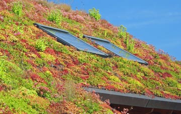 Castle Bromwich living roof systems